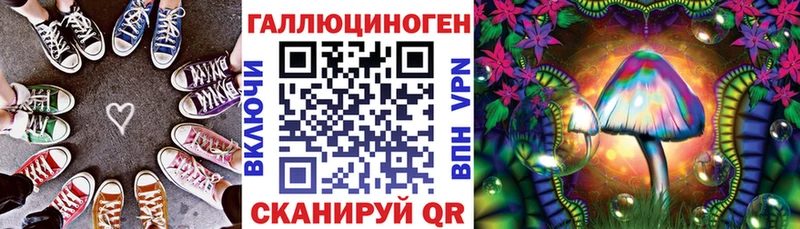 Псилоцибиновые грибы MAGIC MUSHROOMS  цена   Камышлов 